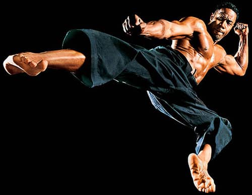 The Top 5 Martial Arts Actors In The Us Today 