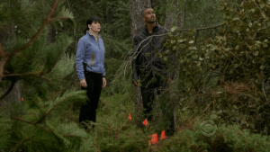 Criminal Minds 6.09 “Into the Woods” Review