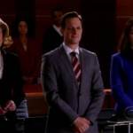 The Good Wife 2.13 “Real Deal” Review – Shades of Erin Brokovich