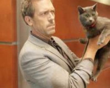 House 5.18 “Here Kitty” Recap