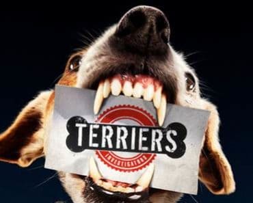 Terriers 1.07 “Missing Persons” Review