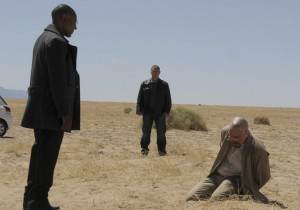 Breaking Bad 4.11 Review