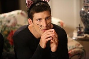 suburgatory ryan cat