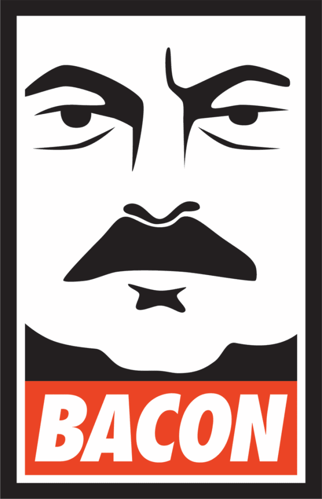 Ron Swanson 19