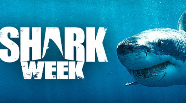 Five Things you Totally Forgot about Discovery&#8217;s Shark Week