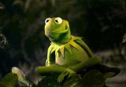 Discovering Matt Vogel: The New Voice of Kermit the Frog