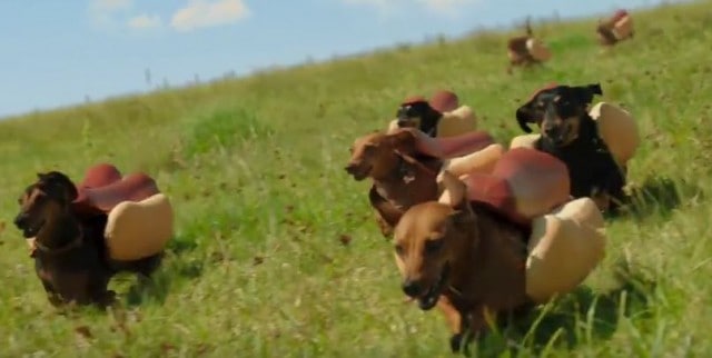 Weiner Stampede