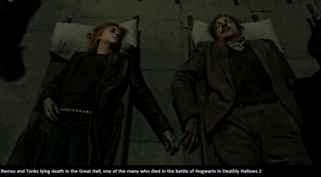 Remus-and-Tonks-bodies-from-Deathly-Hallows-2-768x424