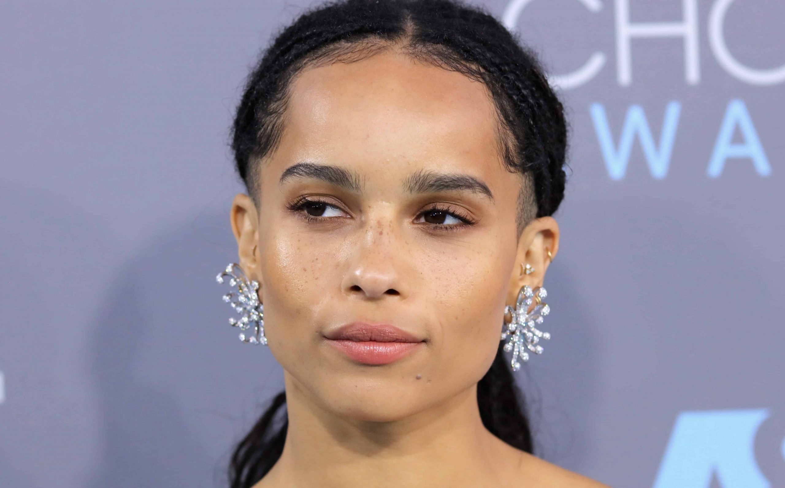 Actress Zoe Kravitz is added to Fantastic Beasts