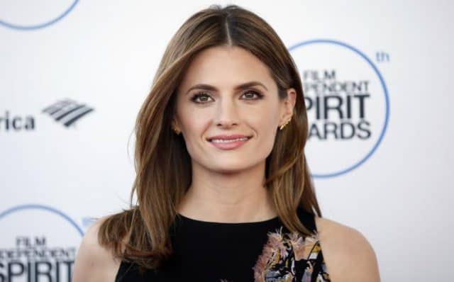 Former Castle Co-Star Stana Katic at the 2015 Indie Spirit Awards