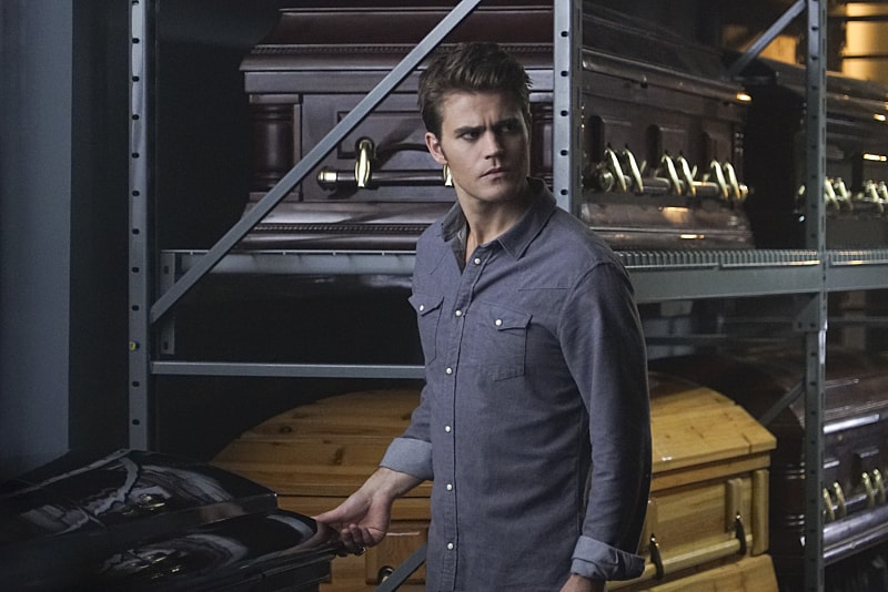 Paul Wesley: 10 Things About the Vampire Diaries Star