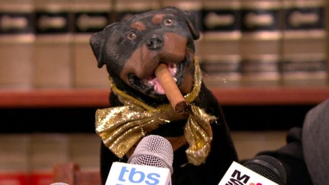 Triumph the Insult Dog Attends Donald Trump’s Inauguration