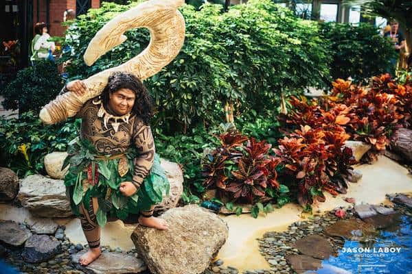 A Phenomenal Maui Cosplay From Disney’s ‘Moana’