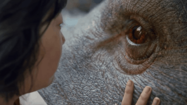 First Footage From Bong Joon-Ho&#8217;s Okja Features Little Girl and Monster