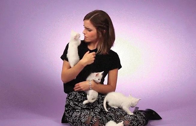 Emma Watson Playing With Kittens Because Why Not