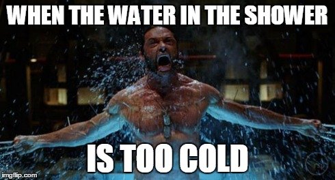 10 Wolverine Memes That Will Brighten Your Day