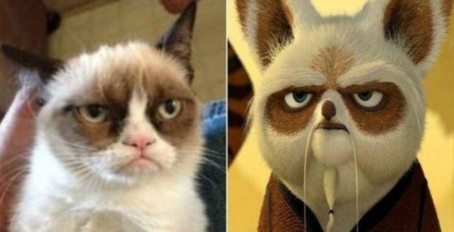 Animals Who Look Like Famous Fictional Characters