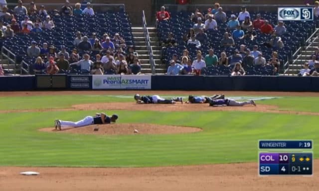 MLB Players Stop, Drop, and Roll when a Swarm of Bees Attack the Field