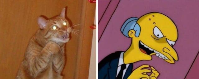 Animals Who Look Like Famous Fictional Characters