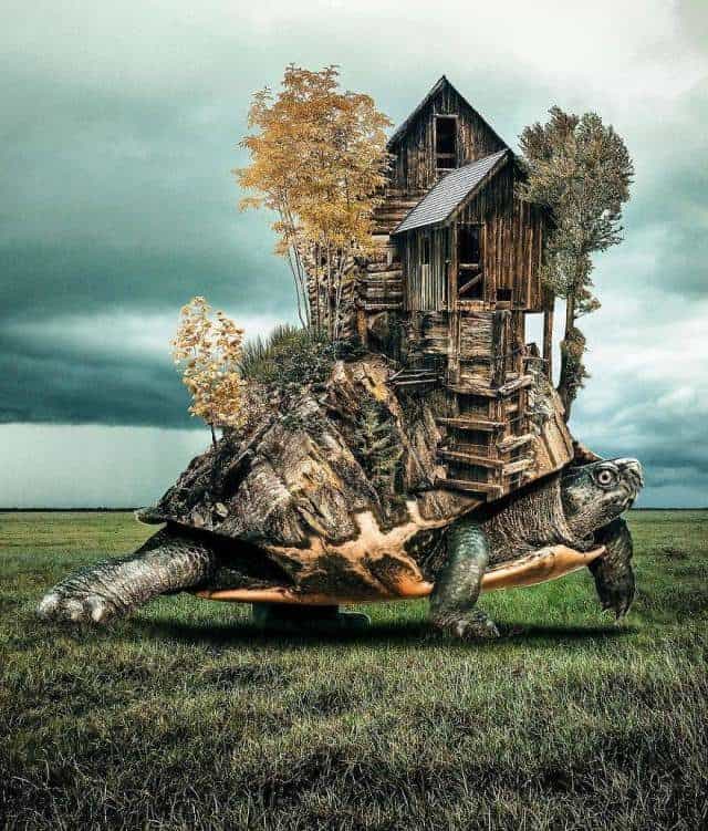 Digital Artist&#8217;s Works Are A Border Between Magic And Reality