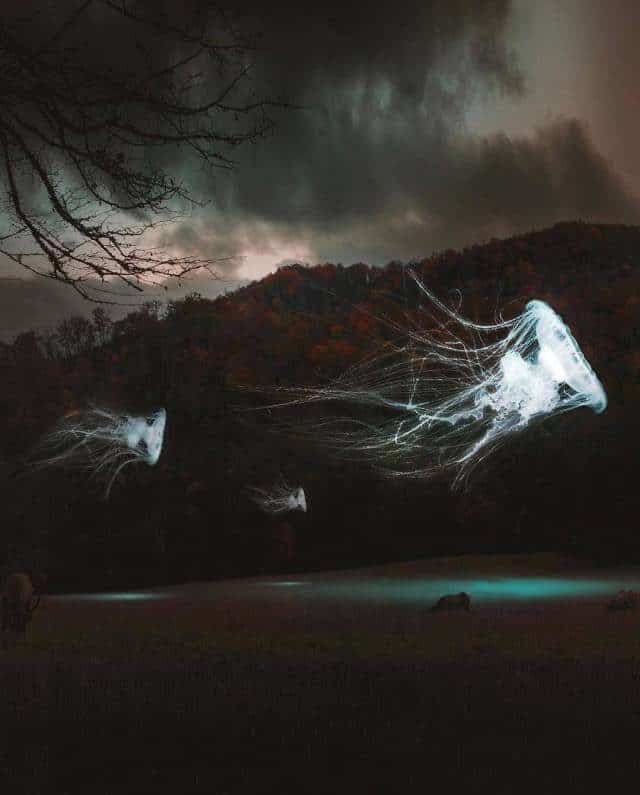Digital Artist&#8217;s Works Are A Border Between Magic And Reality
