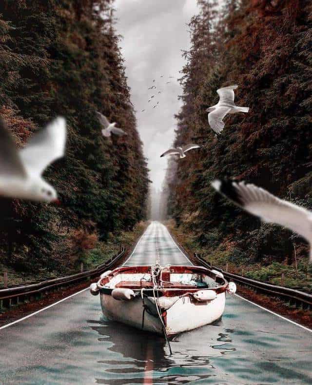 Digital Artist&#8217;s Works Are A Border Between Magic And Reality