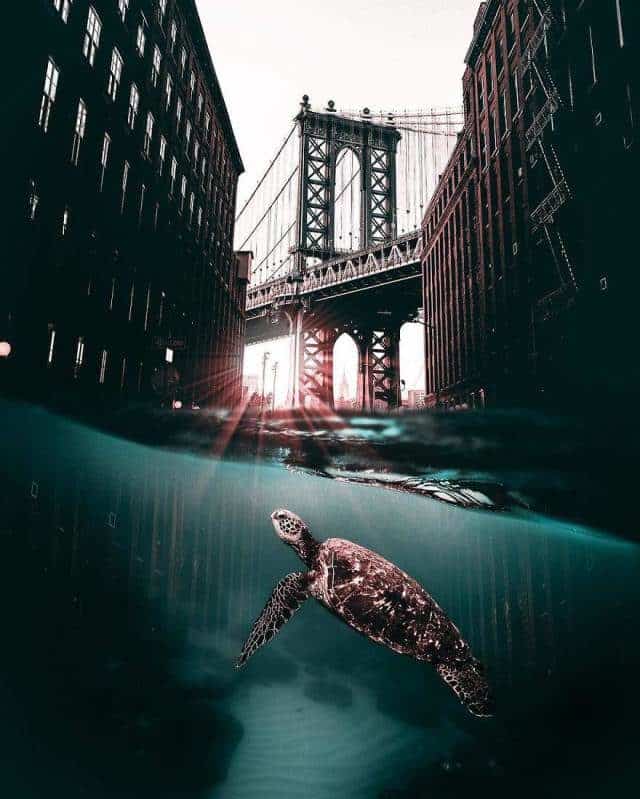 Digital Artist&#8217;s Works Are A Border Between Magic And Reality