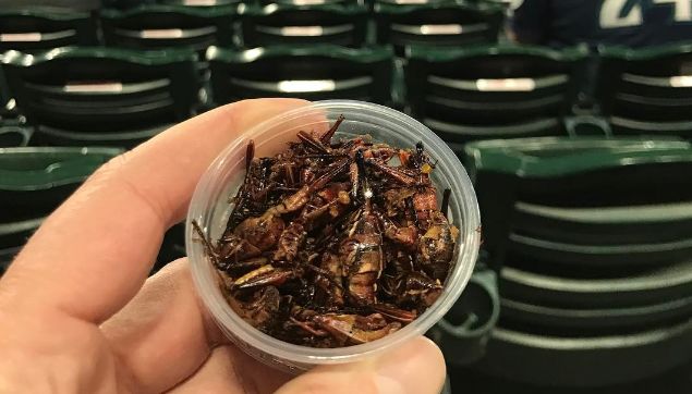 The Seattle Mariners Have Been Adding Insects to Their Food Menu