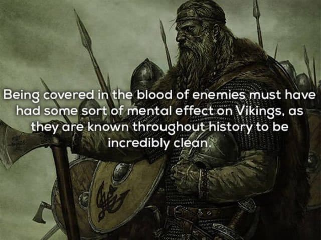 15 Cool Things You Never Knew About Vikings