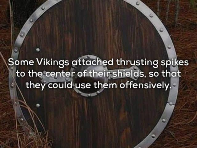 15 Cool Things You Never Knew About Vikings