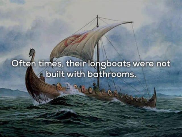 15 Cool Things You Never Knew About Vikings