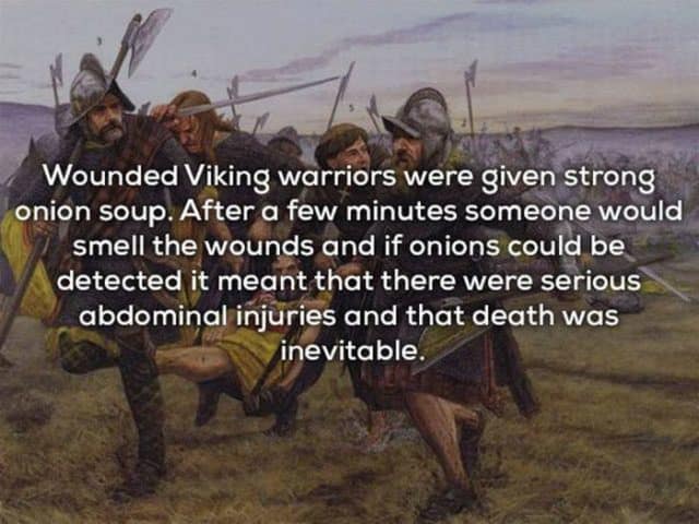 15 Cool Things You Never Knew About Vikings