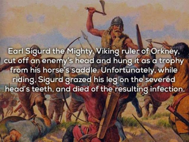 15 Cool Things You Never Knew About Vikings