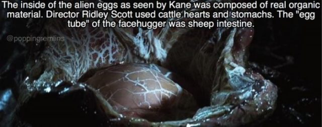 26 Interesting Facts about the Movie Alien