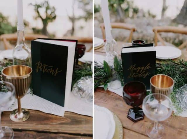 This Couple&#8217;s Harry Potter Themed Wedding Is A Fantasy Come True