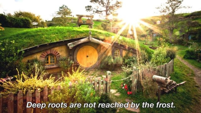 A Collection of 16 Inspirational and Wise Lord of the Rings Quotes