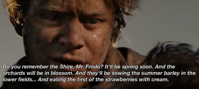 A Collection of 16 Inspirational and Wise Lord of the Rings Quotes