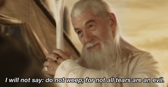 A Collection of 16 Inspirational and Wise Lord of the Rings Quotes