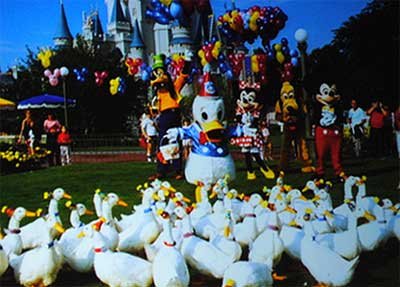 A Great True Story About Donald Duck&#8217;s 50th Birthday Celebration