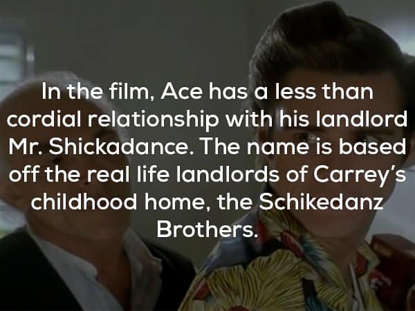 25 Fun Facts About Ace Ventura: Pet Detective