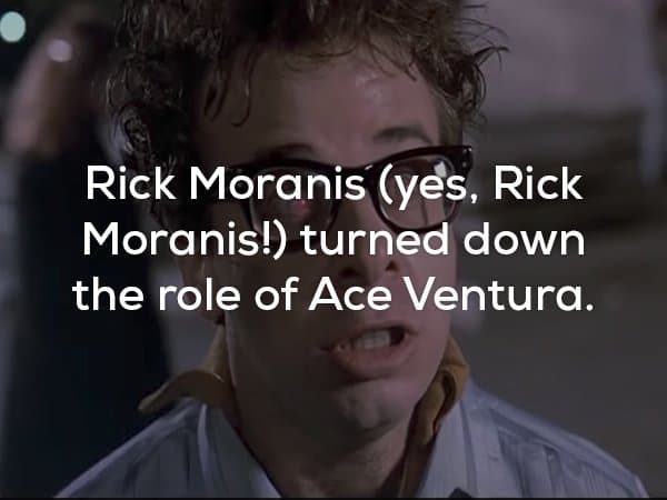 25 Fun Facts About Ace Ventura: Pet Detective