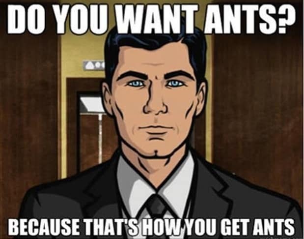 A Collection of Sterling Archer Quotes Because Why Not?