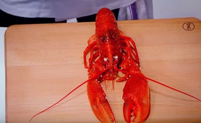 Gordon Ramsay Reveals The Secret To Extracting Every Piece of Meat From A Lobster