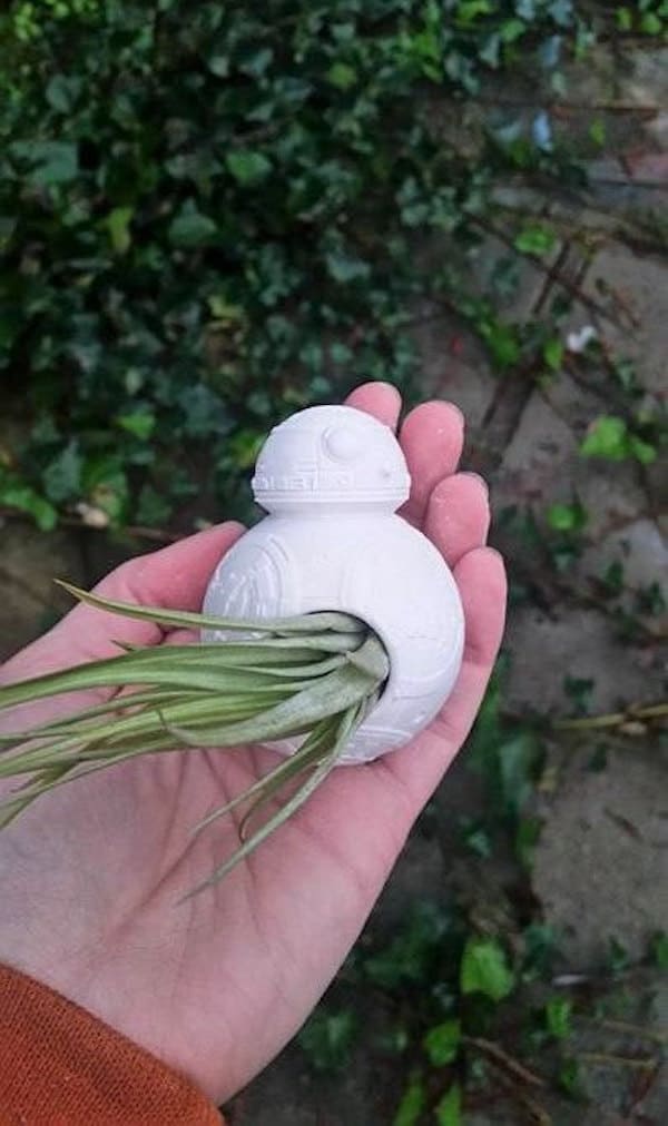 Spice Up Your Green House with Death Star And Millennium Falcon Star Wars Planters