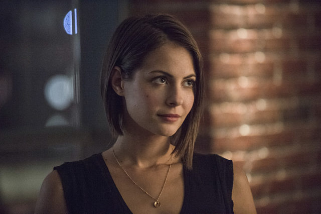 Five Things You Didn&#8217;t Know About Willa Holland