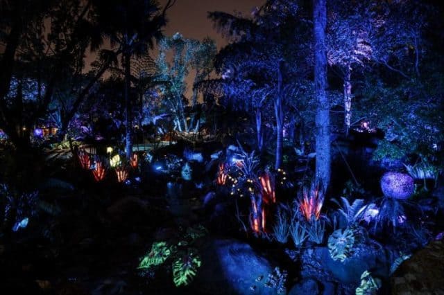 An Inside Look at Disney World&#8217;s Incredible Pandora: The World of Avatar Park