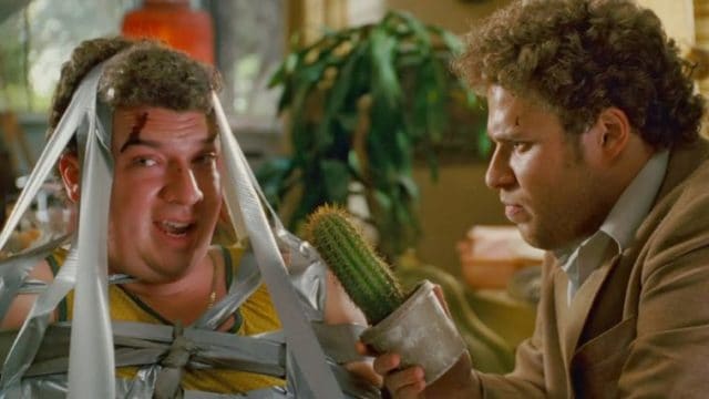 Pineapple Express: 10 Behind-the-Scenes Facts You Need to Know