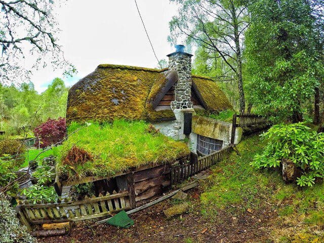 Guy Builds Himself an Unbelievable Hobbit House in the Woods