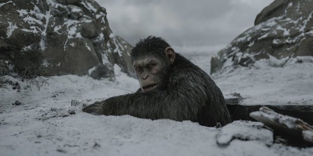 War For the Planet of the Apes Releases One More Epic Final Trailer