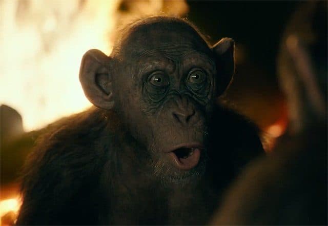 Meet Bad Ape in New War for the Planet of the Apes Trailer